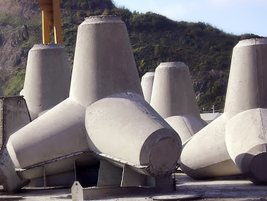 Tetrápodos